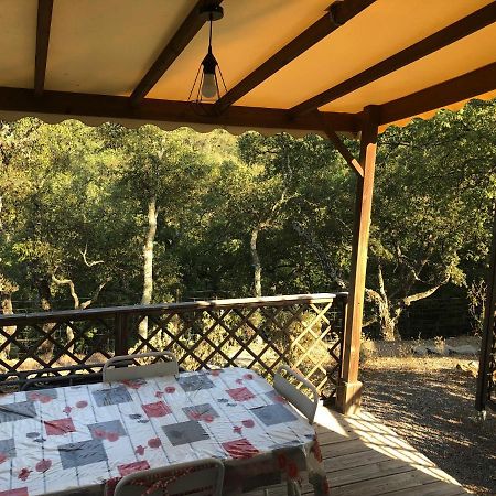 Camping De Parpaillon Roquebrune-sur Argens Exterior foto